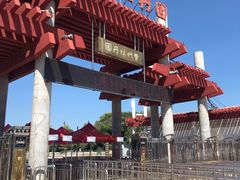 -曹州牡丹园