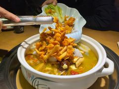 -菌彩云南野生菌火锅(万达广场店)