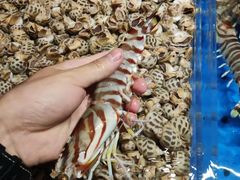 -徐记海鲜(南油永新汇店)