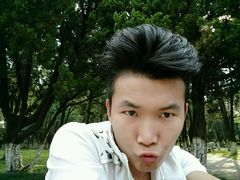 -潘太师炸鸡腿(中茵海华广场店)