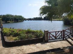 -三亚珠江南田温泉度假区