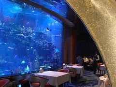 -迪拜帆船酒店海底餐厅