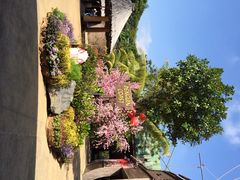 裕廊飞禽公园-新加坡飞禽公园