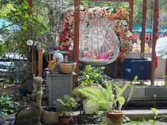 -谷咖啡·鲜花绿植花园餐厅