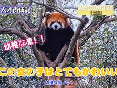 -上海野生动物园