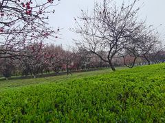 -西安外国语大学(长安校区)