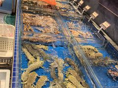 -協成海鮮火鍋(老店)
