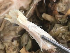 -吉英盐焗鸡(文中路店)
