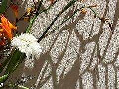 -BOCATA 西班牙餐厅(三里屯店)