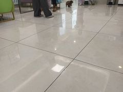 -北京观赏动物医院·24小时大型综合·猫专科·异宠专科