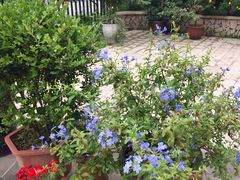 -江津如果餐厅(江津店)