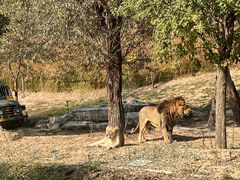 -北京野生动物园