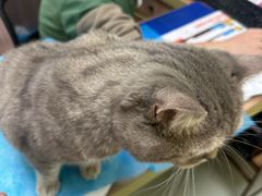 -瑞鹏宠物医院·宠保定点·心脏科·内科(御桥分院)