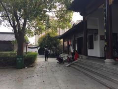 -南汇桃花村