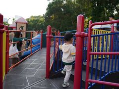 -九龙公园