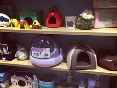 -藦茜花园宠物主题亲子互动体验馆(国顺东路店)