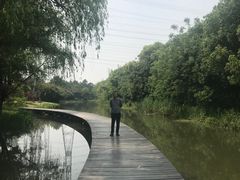 -昆山城市生态森林公园