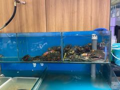 -辣盆盆麻辣小龙虾(哈尔滨总店)