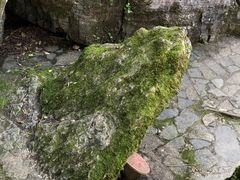 -山王坪喀斯特国家生态公园