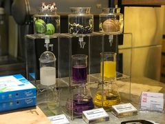 -1828王老吉·草本新茶(珠江新城地铁站店)