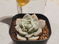 -海底捞火锅(邯郸新世纪中心店)