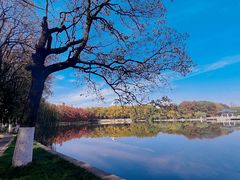-东湖听涛景区