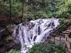 -莫里热带雨林景区