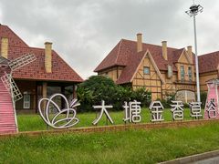 -大塘金香草谷