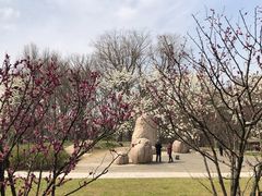 -上海共青森林公园