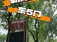 -朝阳公园