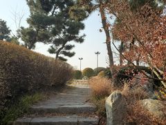 -扬子江公园