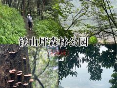 -铁山坪森林公园