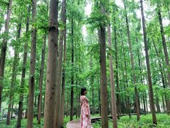 -上海怡沁园度假酒店