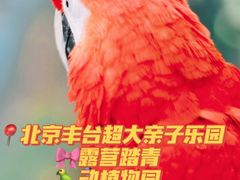 -南宫五洲植物乐园
