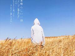 -恋山坝上草原