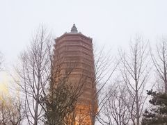 -玲珑塔公园