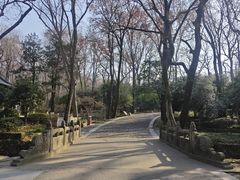 -灵谷景区