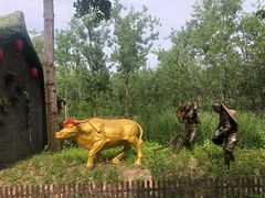 -合肥滨湖国家森林公园