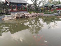 -迎泽公园
