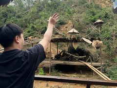 -西双版纳原始森林公园