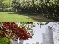 -陆家嘴中心绿地