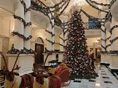 -Salon de Ville浦江汇(上海外滩华尔道夫酒店店)