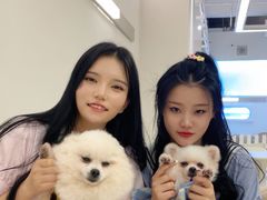 -怪兽屋·羊驼·猫咖·狗咖(俊华广场店)