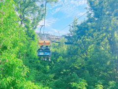 -富斯特索道