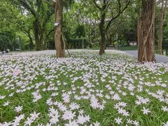 -广州市白云山风景名胜区