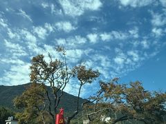 -百漈沟生态旅游景区