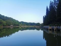 -三水森林公园