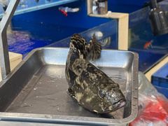 -新洪记·丽久饭店(铁西店)
