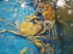 -蟹之国·精品蟹料理(极地店)