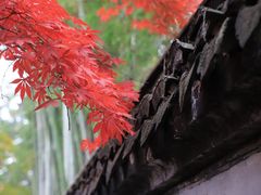 -秋霞圃